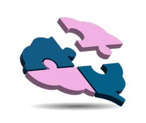 Puzzle icon